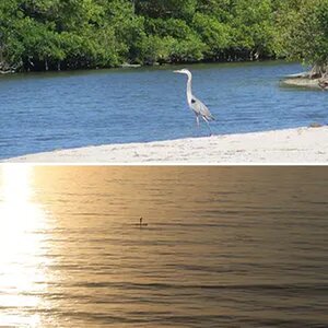 Florida