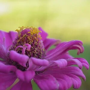 My Photography (Nikon D3200)