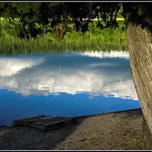 Pallet and Lake Reflection