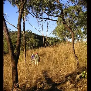 Bushwalking