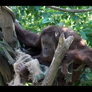 5645-WPZ_CRW_3771tif-001