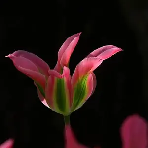 5645-IMG_3112