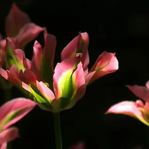 5645-IMG_3122