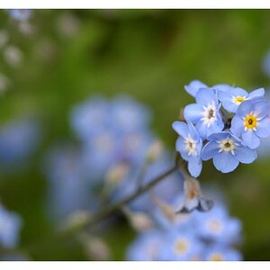 5645-Small_Blue_01