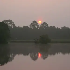 Hazy Sunrise