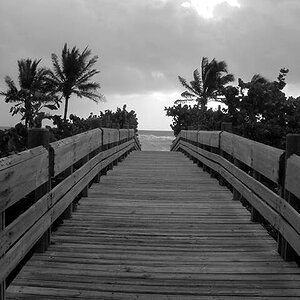 A walk to the beach