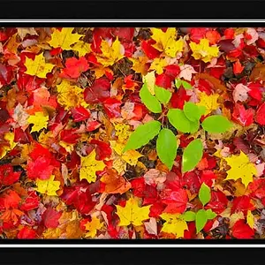 photo13-Oct