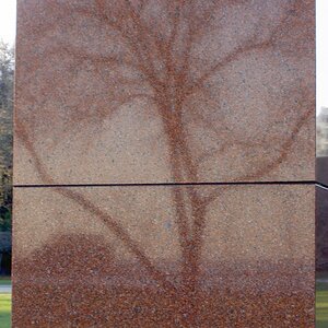 Tree Taken For Granite