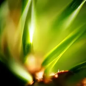 novphoto05