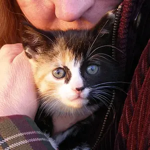 novphoto25-New Family Member