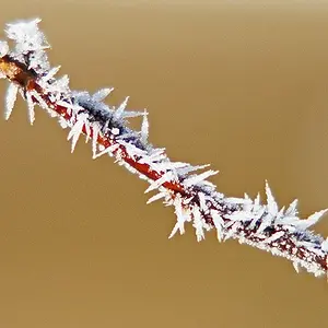 951-IMG_7950
