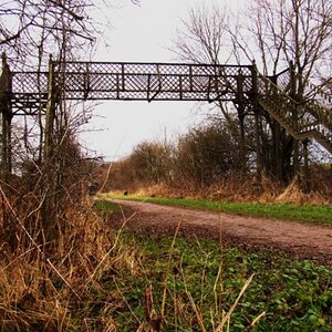 janPhoto15-Abandoned Bridge