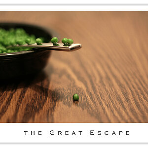 janPhoto29-The Great Escape
