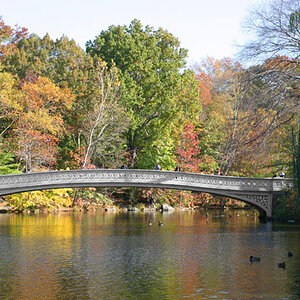 janPhoto38-Some Where in Central Park