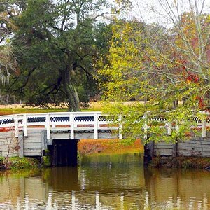 janPhoto44-The Duck Pond