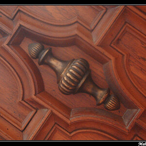 FebPhoto06-Mahogany Lines