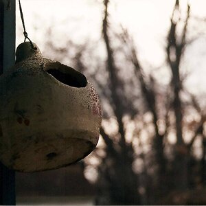 Painted Gourd