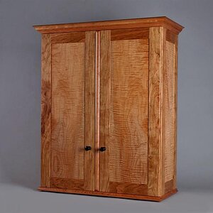 Wall hung cabinet