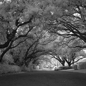 Infrared