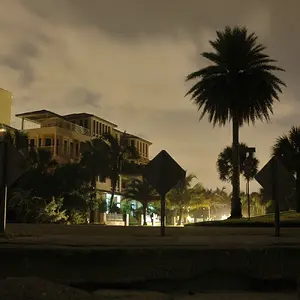 Night Scene