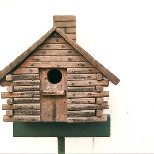 Bird Cabin