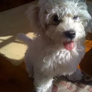 cute lil face