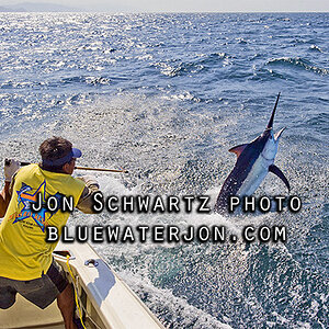 Jon Schwartz fishing photography Panama Tropic Star Lodge