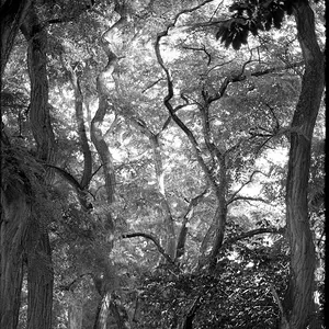 reaching_by_djacob372