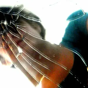 Shattered by Elle Bushfield