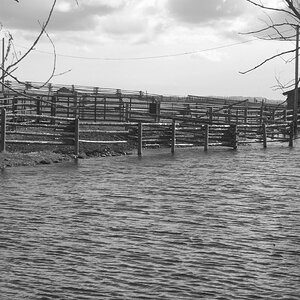 corrals in pond with barn