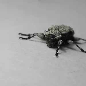 smilingbug