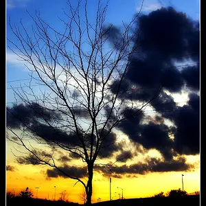 Spring Sunset