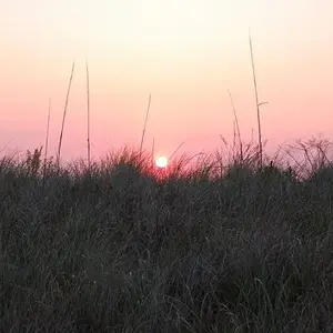 Annie_sunnset