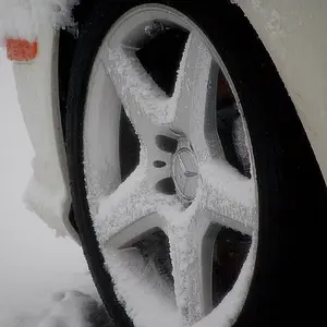 Blizzard 2010.
