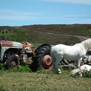 Horse_power_New_and_Old