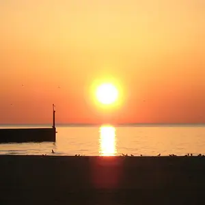 New Dawn