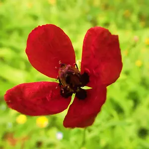 DSCF0138