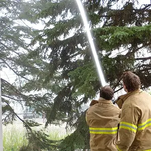 Firemen