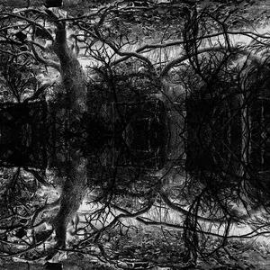 Dsc_2451x2_bw