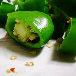 es28] chili pepper