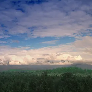 Obscured Mountains 2