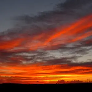 Texas