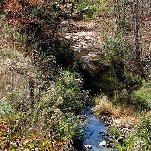 Camp Creek