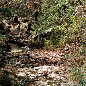Camp Creek