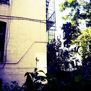 flowerladderxpro