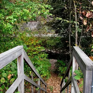 river fall colors