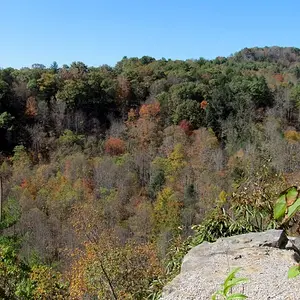 W. V. fall