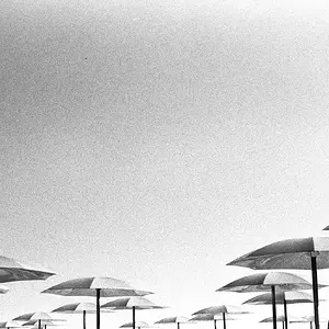 ilford hp5+ / Nikon FE