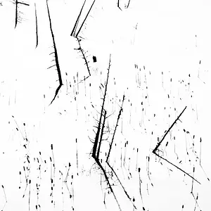 Every Needle Its Poison Droplet