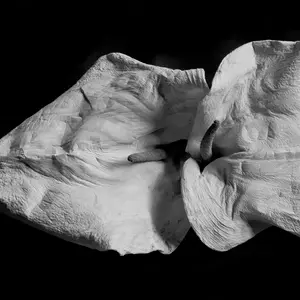 Calla Chalk